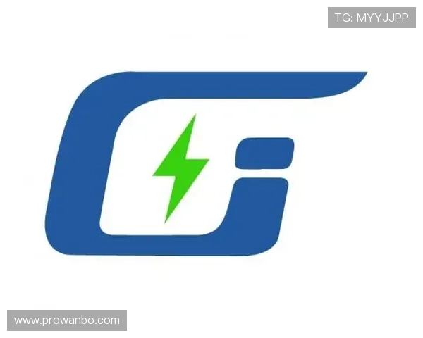 万博max登录版官方网站提供的最新版本软件下载流程和使用技巧介绍