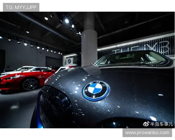 半岛体育官方网站入口用户体验优化措施与未来发展方向