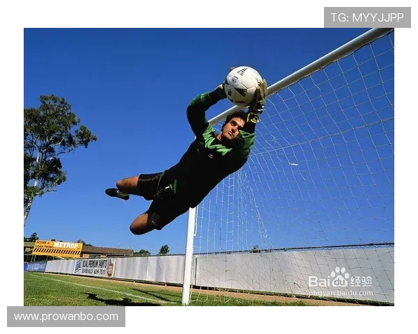 友博足球官网提供多平台多终端的足球资讯服务体验更便捷