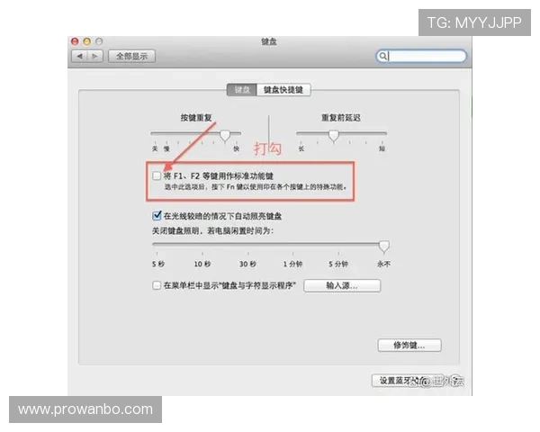 如何在友博体育网页版中设置个性化偏好，提升使用体验